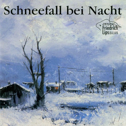 Schneefall bei Nacht